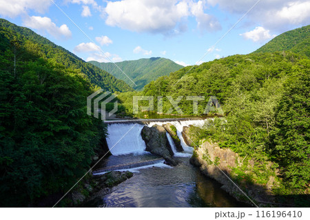 ピョウタンの滝・初夏の早朝 116196410