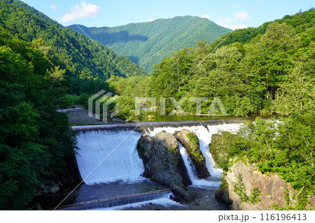 ピョウタンの滝・初夏の早朝 116196413