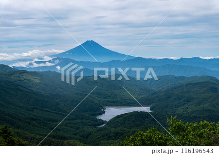 夏の大菩薩嶺、奥にそびえる富士山と雲海 116196543