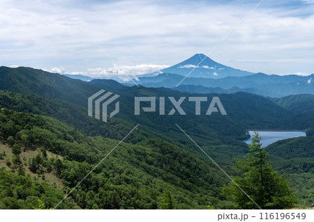 夏の大菩薩嶺から見る富士山と周辺の山並み 夏の大菩薩嶺から見る富士山と周辺の山並み 116196549