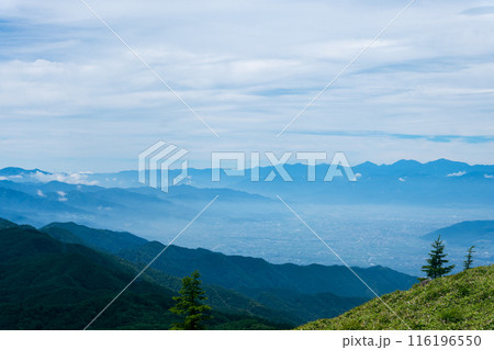 夏の大菩薩嶺から見る八ヶ岳の雄大な山並み 116196550