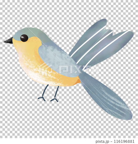 Watercolor illustration of a cute little bird isolated on white background. Watercolor illustration of a cute little bird isolated on white background. 116196881