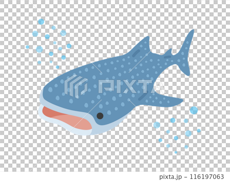 Illustration of a swimming whale shark 116197063