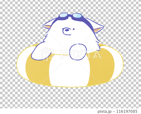Dog floating on a swim ring 2 116197085