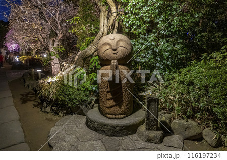 【神奈川県・鎌倉市】長谷寺・和み地蔵・梅まつりライトアップ 116197234