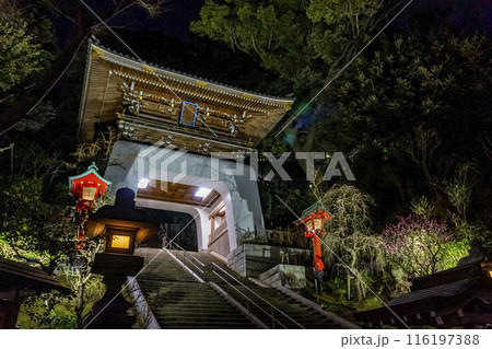 【神奈川県・江ノ島】江島神社・瑞心門・ライトアップ 116197388