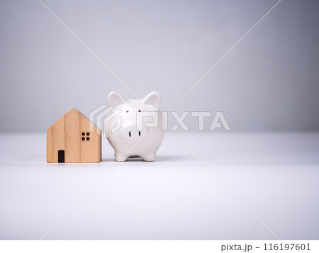 House model, piggy bank on white background, Building, mortgage, investment, real estate and property concept, Selective focus, Space for text. House model, piggy bank on white background, Building, mortgage, investment, real estate and property concept, Selective focus, Space for text. 116197601