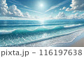 青空と雲と海と砂浜 116197638