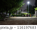 夜の公園は意外と明るい 116197683