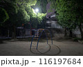 夏の夜の静かな夜 116197684