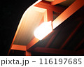 鳥居の灯りと灯り 116197685