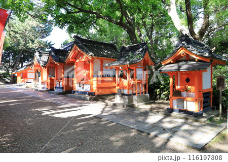大阪市の住吉大社境内にある摂社群遠景 116197808