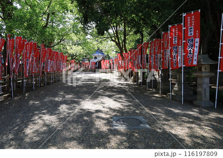 大阪市の住吉大社境内にある御文庫の遠景 116197809