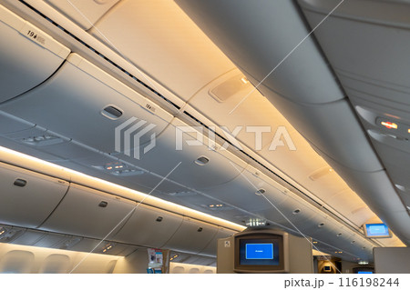 国内線　飛行機機内 116198244