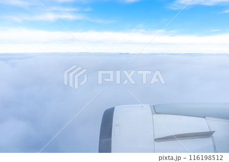 飛行機から見た風景 116198512