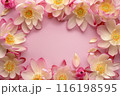 蓮の花の華やかなフレーム 116198595