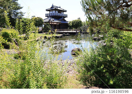 大阪府池田市にある池田城址公園の風景 116198596
