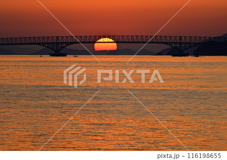 大島大橋日の出 116198655