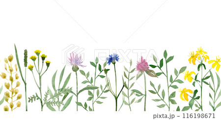 Watercolor seamless border with wildflowers and branches of grass. Hand-drawn illustration Watercolor seamless border with wildflowers and branches of grass. Hand-drawn illustration 116198671