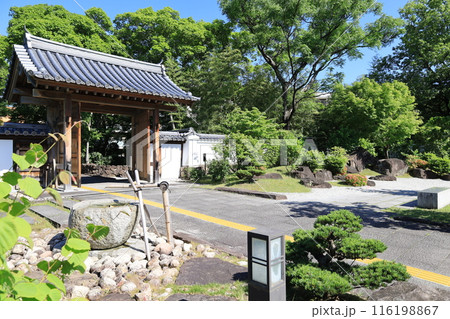 大阪府池田市にある池田城址公園の風景 大阪府池田市にある池田城址公園の風景 116198867