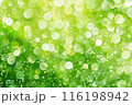 グリーン系の明るいキラキラ背景素材 116198942