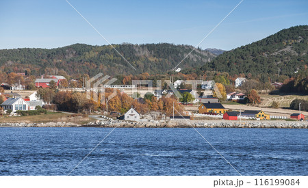 Norwegian landscape with wooden houses on sea coast 116199084