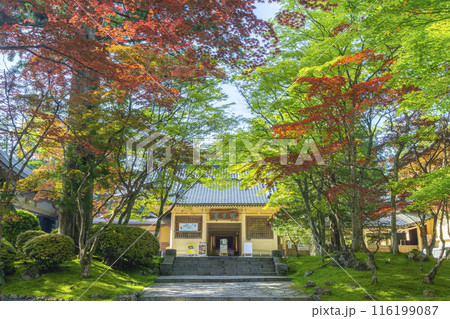 青紅葉に包まれた高野山霊宝館 116199087