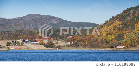 Norwegian coastal landscape with wooden houses and barns 116199088