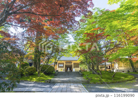青紅葉に包まれた高野山霊宝館 青紅葉に包まれた高野山霊宝館 116199090
