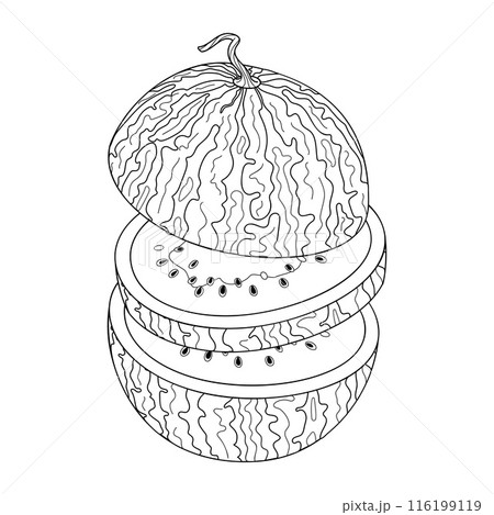 Chopped watermelon flying in the air. Hand drawn doodle style cut summer fruit 116199119
