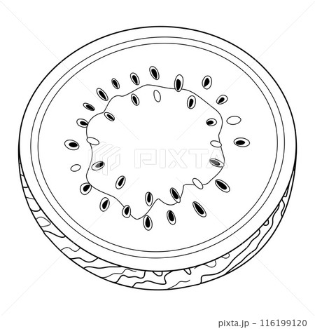 Ripe cut watermelon drawn doodle style half watermelon coloring page 116199120