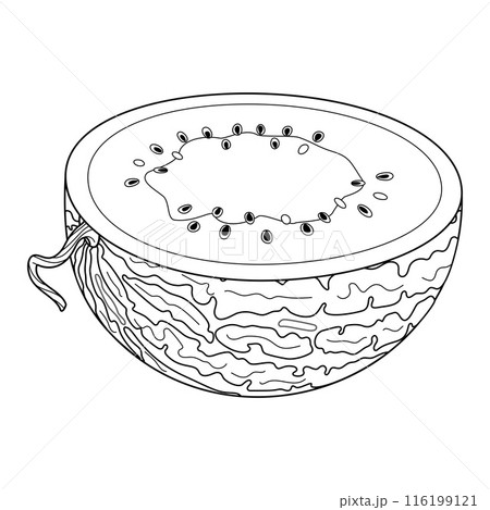 Ripe cut watermelon drawn doodle style half watermelon coloring page Ripe cut watermelon drawn doodle style half watermelon coloring page 116199121