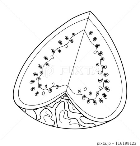 Ripe cut watermelon. Hand drawn doodle style fresh watermelon heart slice 116199122