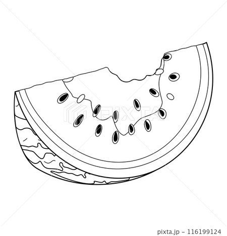 Bitten watermelon slice. Watermelon rind coloring page 116199124