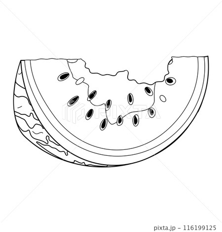 Bitten watermelon slice. Watermelon rind coloring page Bitten watermelon slice. Watermelon rind coloring page 116199125
