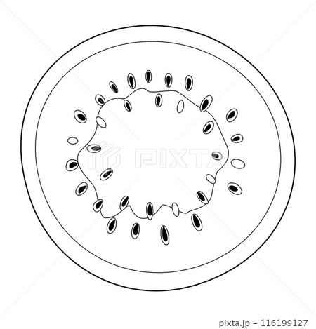 Ripe cut watermelon top view. Hand drawn doodle style summer fruit coloring page Ripe cut watermelon top view. Hand drawn doodle style summer fruit coloring page 116199127