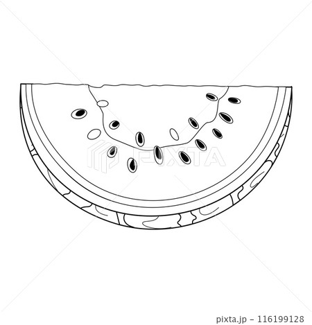 Chopped watermelon line art. Hand drawn doodle style cut fruit coloring book Chopped watermelon line art. Hand drawn doodle style cut fruit coloring book 116199128
