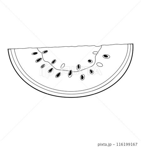 Watermelon slice line art. Ripe cut watermelon. Hand drawn doodle style 116199167