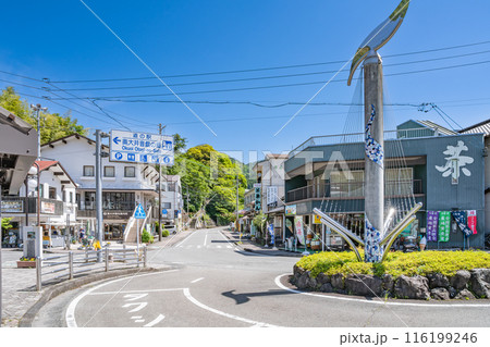 大井川鉄道千頭駅前の街並み(静岡県) 116199246