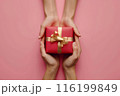 プレゼントを渡す手と受け取る手 116199849
