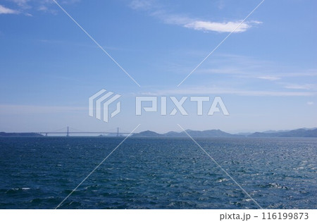 兵庫県淡路島　海の展望広場から大鳴門橋を望む 116199873