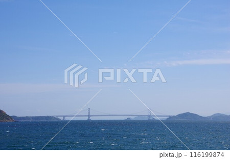 兵庫県淡路島　海の展望広場から大鳴門橋を望む 116199874