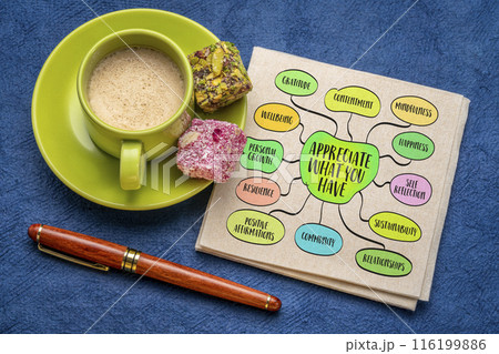 Appreciate what you have, gratitude and contentment with one's current circumstances, possessions, and relationships, lifestyle concept, mind map sketch 116199886