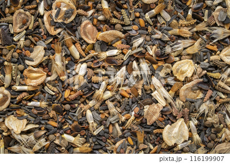 mix of drought tollerant wildflower seeds, macro background and texture 116199907