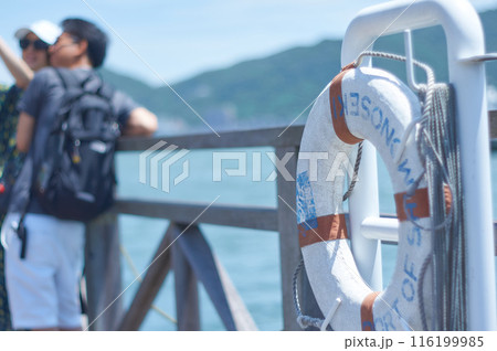 夏の海辺の光景 116199985