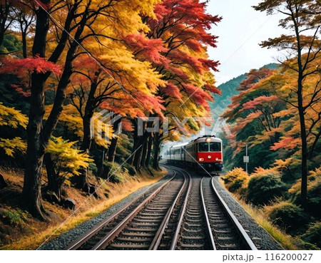 秋の深まりとともに紅色・黄色に色づく京都は至るところで美しい紅葉と出会えます 秋の深まりとともに紅色・黄色に色づく京都は至るところで美しい紅葉と出会えます 116200027