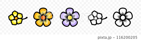 Flowers, wildflowers, bloom and blooming, graphic design. Plant, nature, flora, floral and blossom, vector design and illustration 116200205