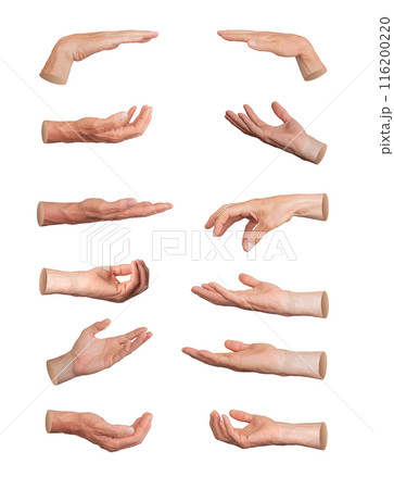 Palms giving, taking, begging, asking and holding gestures, hand sign isolated on white background, 116200220