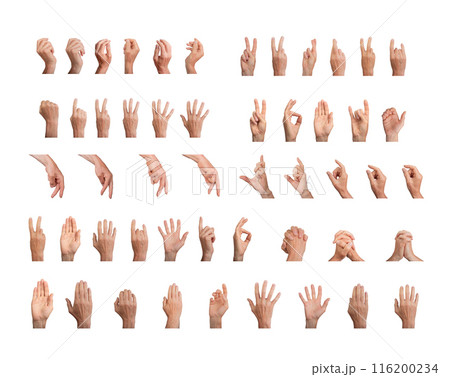 Big gestures set, different hand signs pack isolated on white background Big gestures set, different hand signs pack isolated on white background 116200234