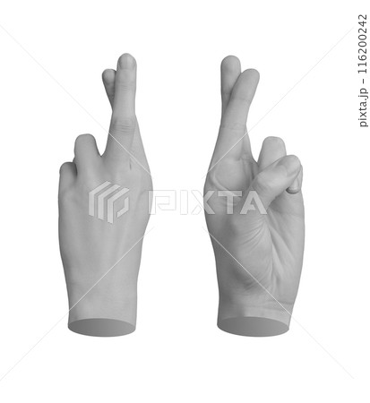 Crossed fingers for luck, lucky gesture from both sides, hand sign isolated on white background 116200242